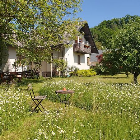 River House Radolca Bed and Breakfast Radovljica Buitenkant foto