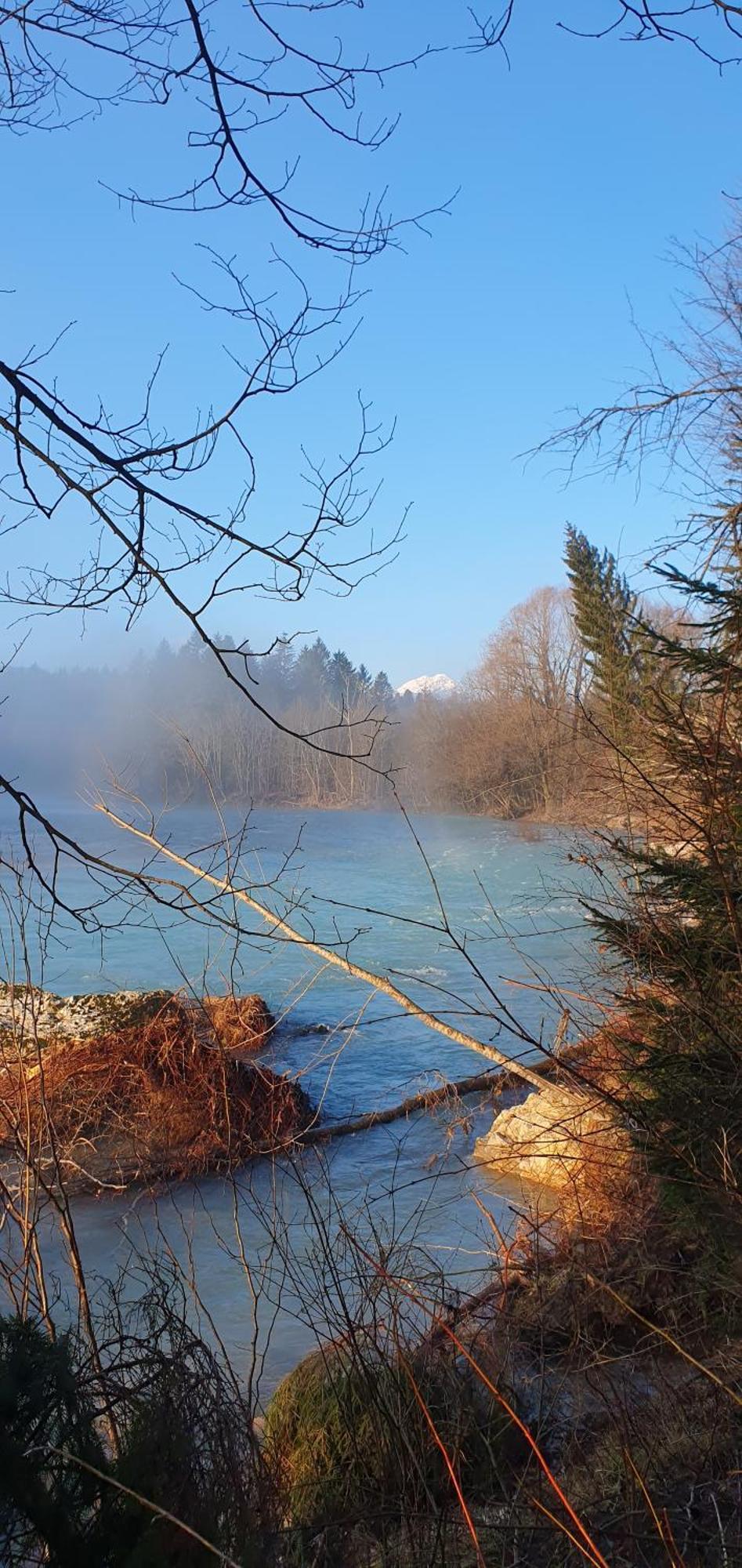 River House Radolca Bed and Breakfast Radovljica Buitenkant foto